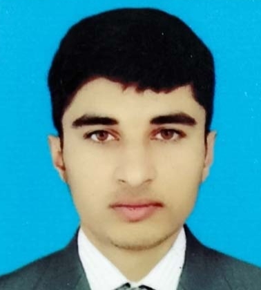 Raja Ahsan Hussain Profile Raja Ahsan Hussain Profile