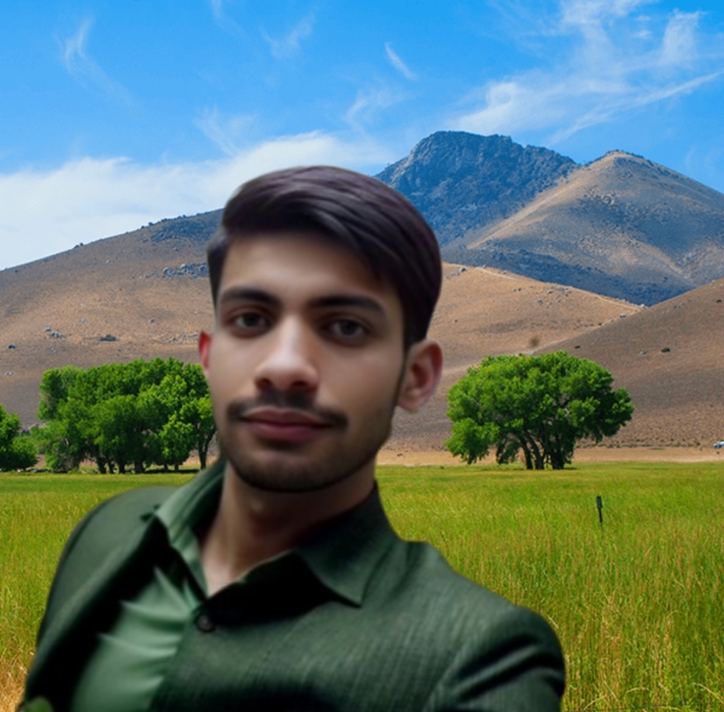 M Saifullah Ch Profile