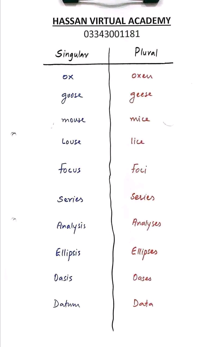 Ghulam Raza Software Development, English Typing, MS Office