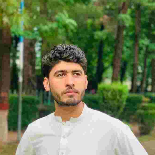 Naveed Ali MS Office, English Typing, Driving, Data Delivery, Data Analytics, Data Extraction