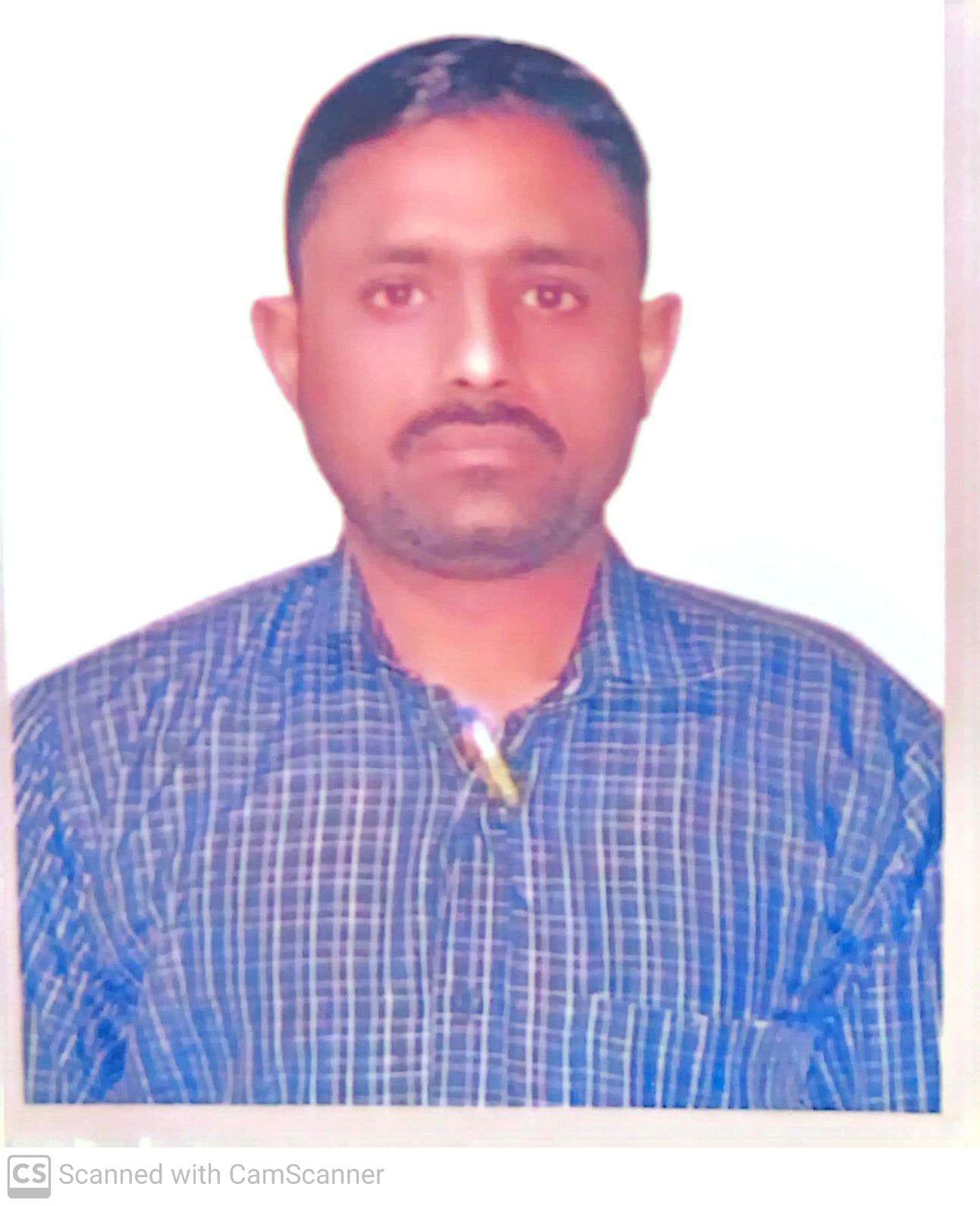 Arts Electronics Freelancer