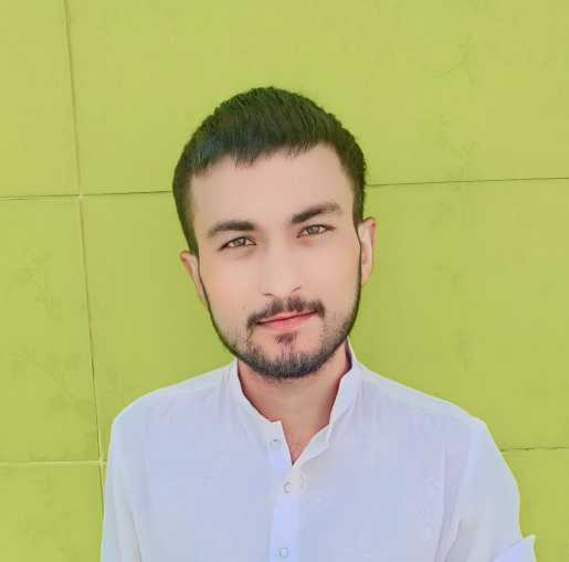 Muhammad Zeeshan Urdu Typing, English Typing, MS Office, Animation, Audio Services, Video Broadcasting, Video Services, Video Editing, CV Design, Video Ads
