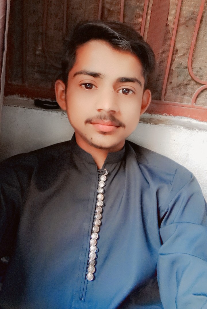 Hamza Ali English Typing, MS Office, Account Receivables Management, Account Payables Management, Financial Accounting, Workday Time & Absence, Data Entry, Phone Support, Excel, Call Center